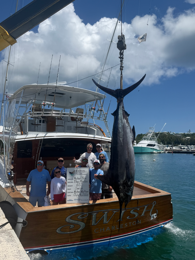 653 lb marlin hangin behind the boat swish Captain Michael Mattson