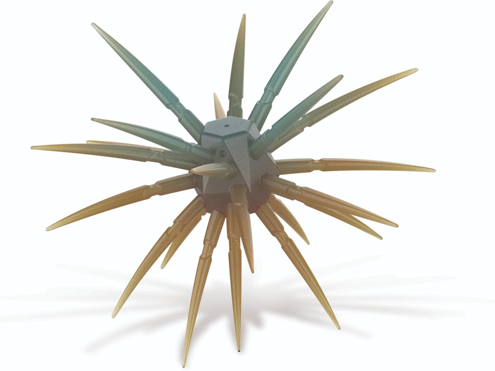 rapala sea urchin looking bait for bass