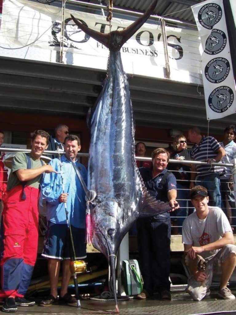 a blue marlin caught on tantrum lures